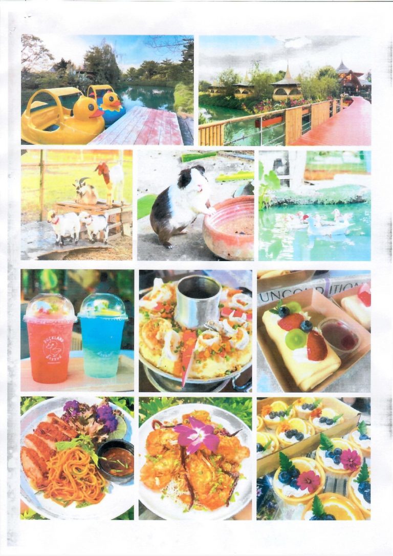 Scan_0005_0