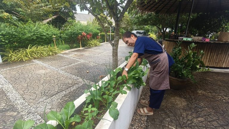 574354876_875876121440825_740086969125357127_n