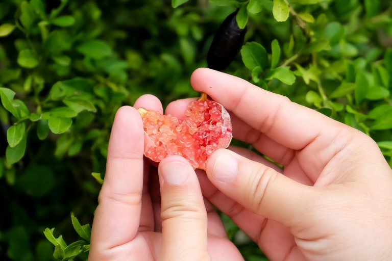 580519998_885270750501362_281387140160959534_n