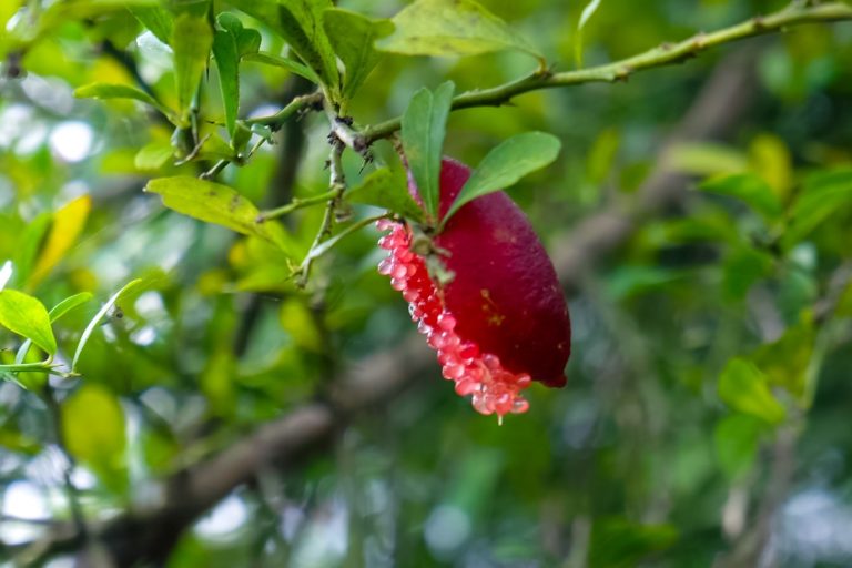 580546230_885270923834678_3466400335484476792_n