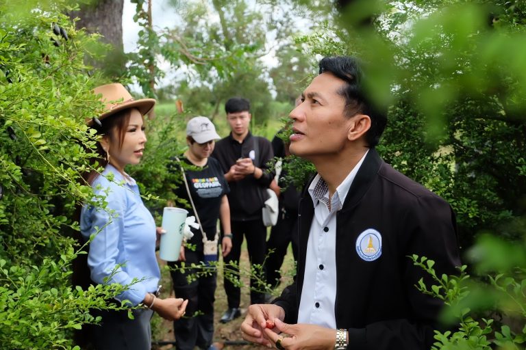 581381927_885271950501242_7564648903691086298_n