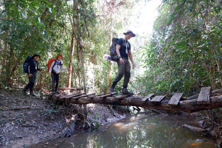 583318972_890595503302220_7559867943575575177_n