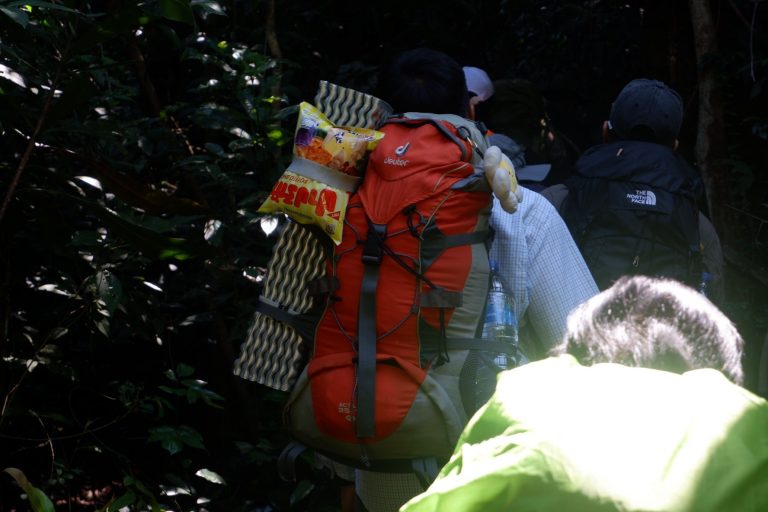 585903820_890592219969215_4969674524682681501_n