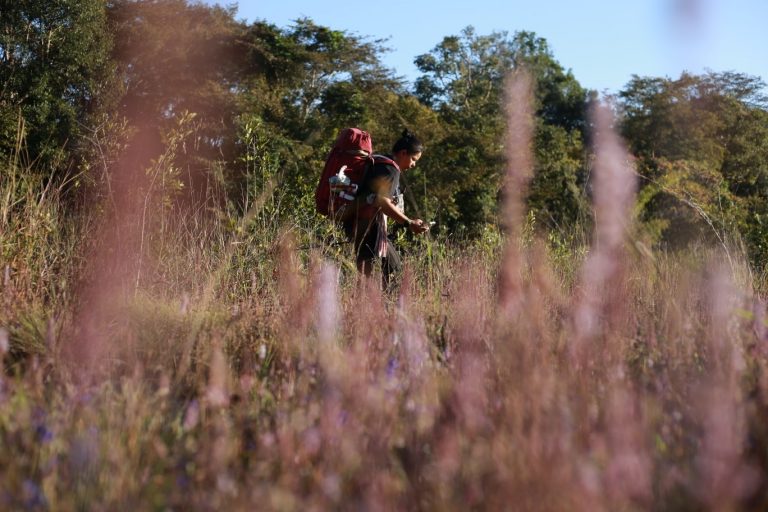 600359272_916063250755445_2039944494609464570_n