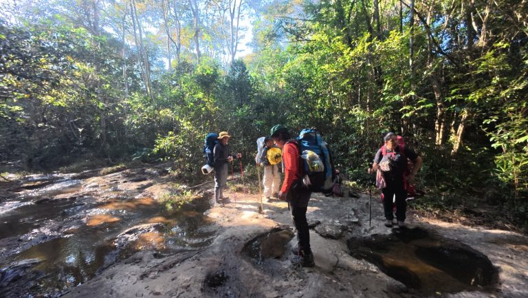 600392589_916064260755344_2412895716290561410_n