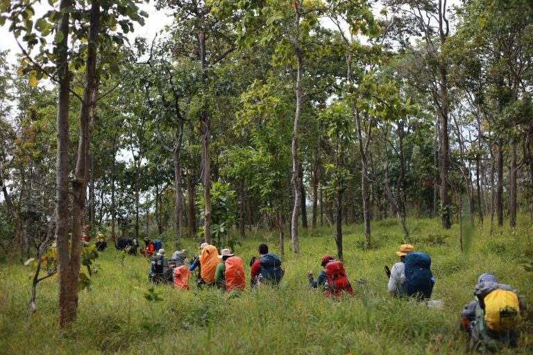 601516820_916063807422056_8955318113510730233_n