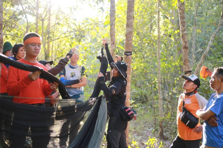 602015325_916063597422077_3859814240943123694_n