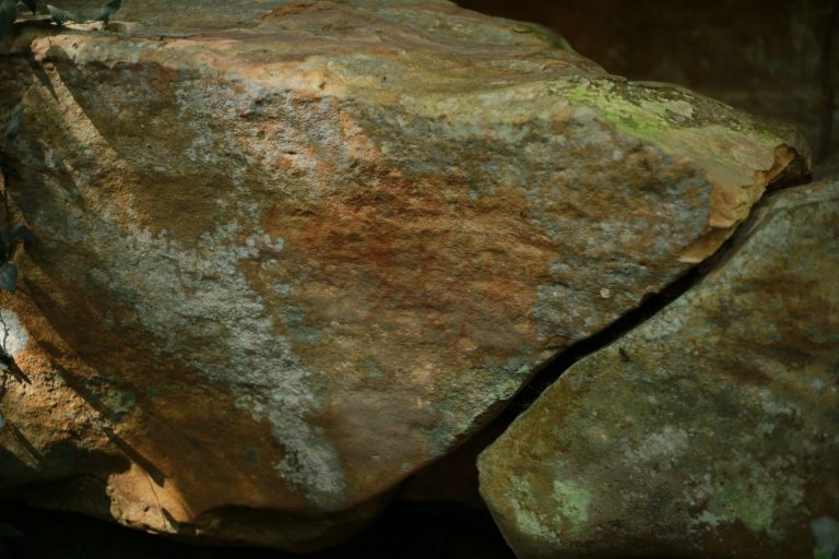 602425706_916063517422085_7692344525481503105_n