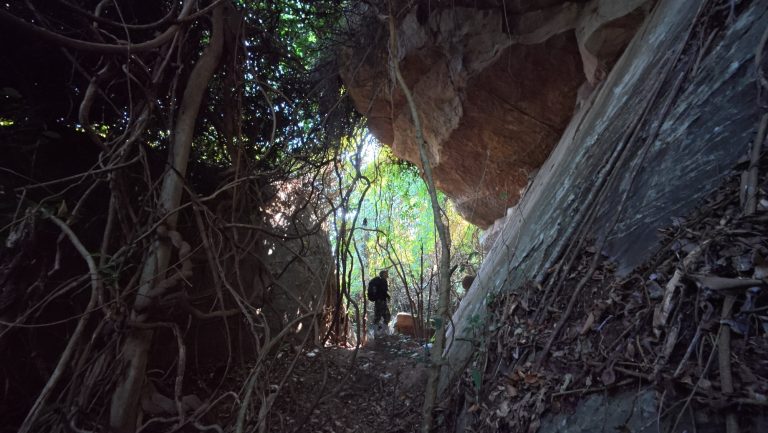 602489734_916063990755371_69452662674011451_n