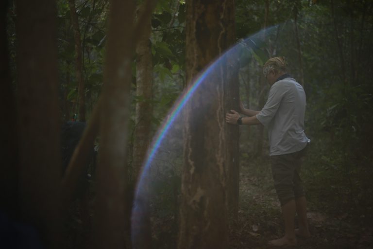 602983290_916063657422071_3893176005684651105_n