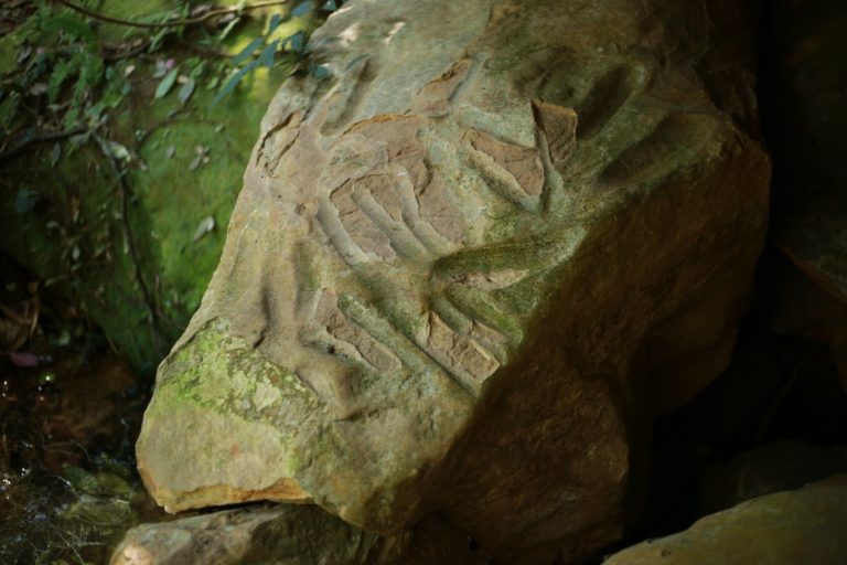 603039656_916063457422091_4407827813233334099_n