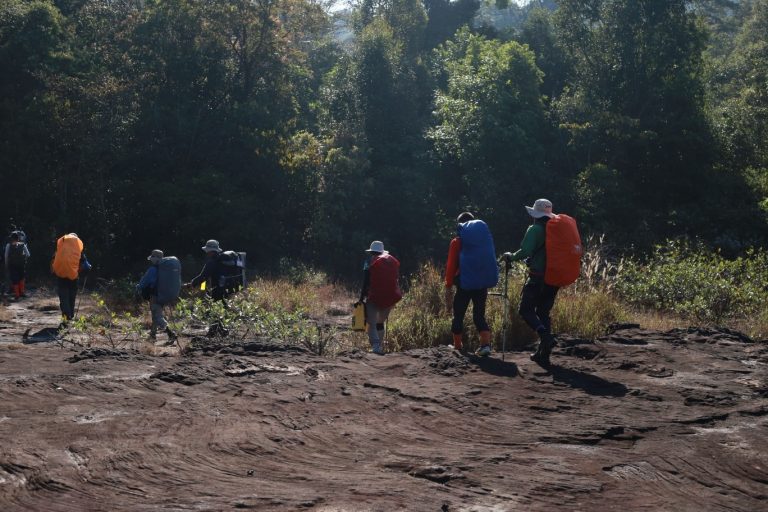 603052310_916063364088767_4565231468561893386_n