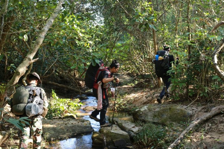 604562973_916063384088765_4229559947508359783_n