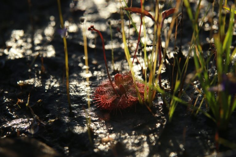 604762197_916063270755443_4013453344744426826_n