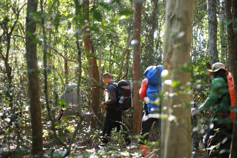 605328356_916063414088762_4206680619427318926_n