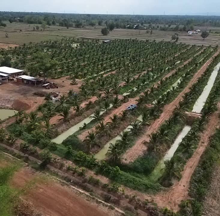 606016651_920556670306103_1124425673846301789_n