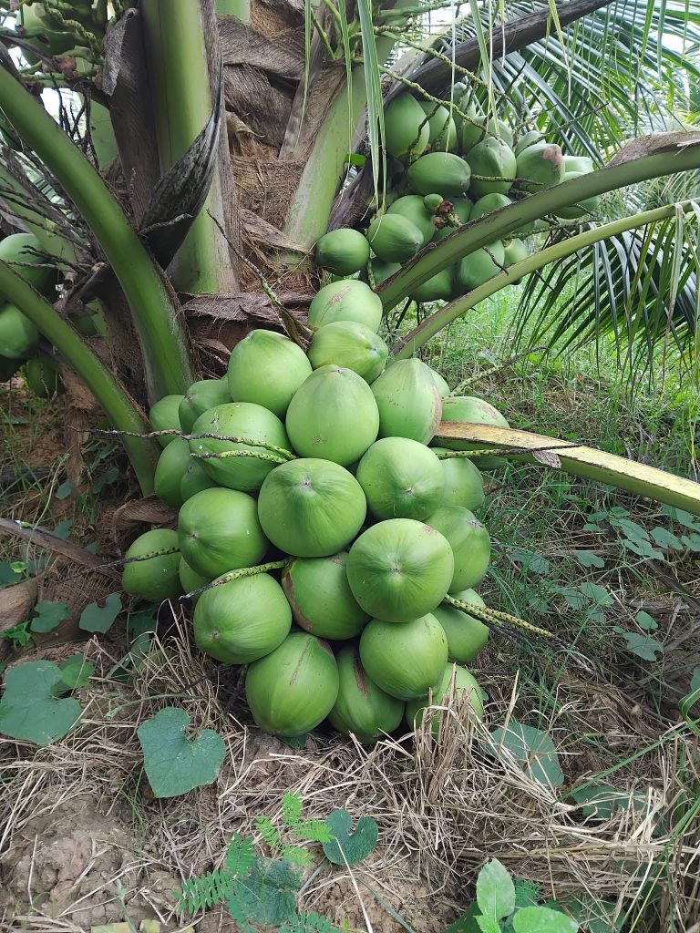 608204566_920556723639431_977217784917581342_n