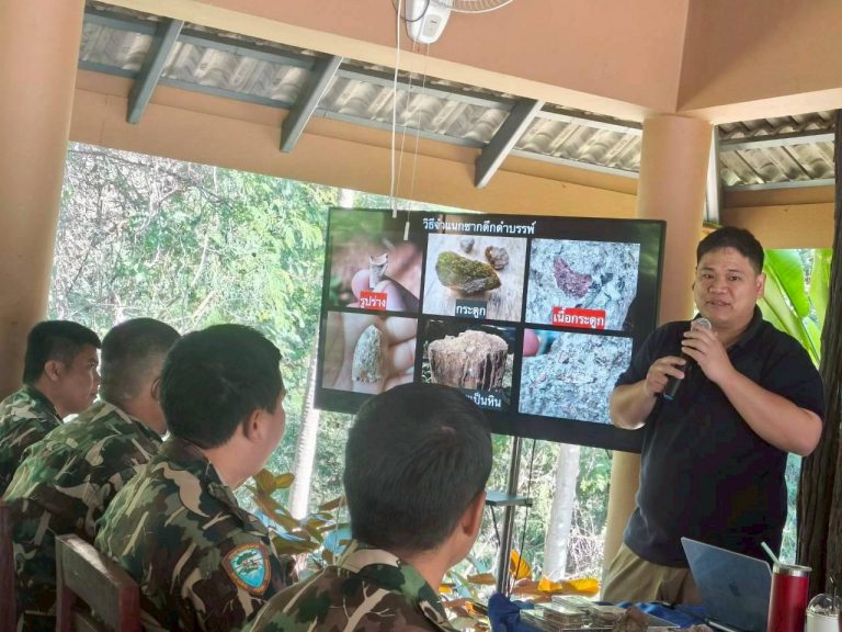 613042438_928200462875057_2821363313027430140_n