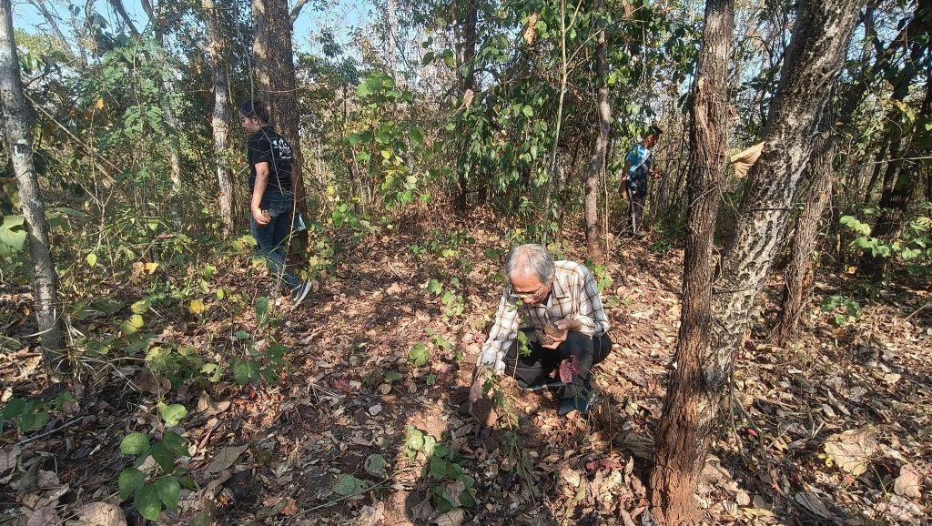 617565122_935390145489422_7604117622341877824_n