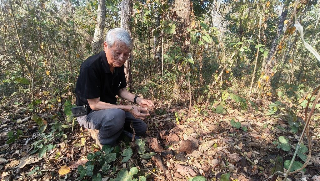 618308508_935390185489418_2735227361100911110_n